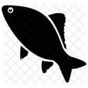 Fish Tropical Fish Aquatic Fish Icon
