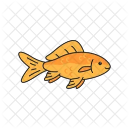Common goldfish  Icon