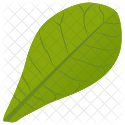 Common Milkweed Icon