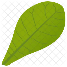 Common Milkweed  Icon