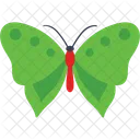 Common Olive Wing Butterfly  Icon