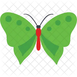 Common Olive Wing Butterfly  Icon