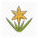 Common Star Lily Icon