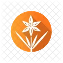 Common Star Lily Icon