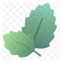 Hortela Hortela Saboroso Ícone