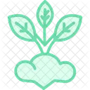 Companion planting  Icon