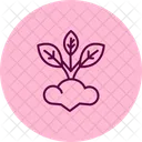 Companion planting  Icon