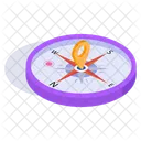 Compass Navigation Destination Icon