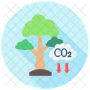Compensacion De Carbono Plantacion De Arboles Energia Verde Icon