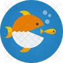 Competition Fish Business Icon