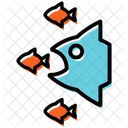 Competition  Icon