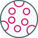 Completo  Ícone