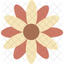 Compliment Flower  Icon