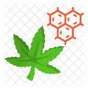 Cannabis Marihuana Droga Icono