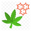 Cannabis Marijuana Drug 아이콘