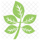 Compound Leaves Icon