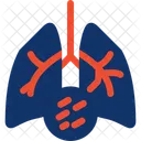 Compressed File Compact Compressed Icon