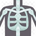 Computerized Tomography Scan Icon