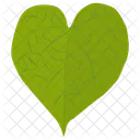 Tilia Cordata Hoja En Forma De Corazon Icon