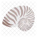 Conch Snail Shell Icon