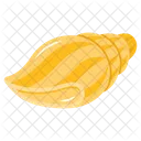 Sea Snail Conch Seashell Icon