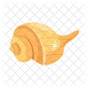 Mussel Shell Conch Icon