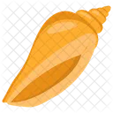 Conch  Icon