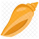 Conch  Icon