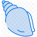 Conch  Icon