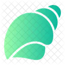 Conch Shell  Icon