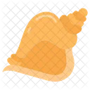 Conch shell  Icon