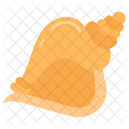 Conch shell  Icon