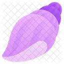 Concha Icon