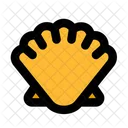 Concha  Icon