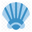 Concha  Icon