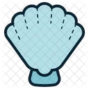 Concha  Icon