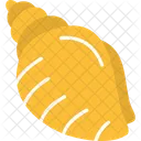 Concha  Ícone