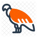 Condor Bird Flight Icon