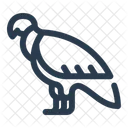 Condor  Icon