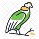 Condor  Icon