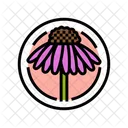 Cone Flower Cosmetic Icon