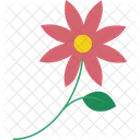 Coneflower  Icon