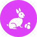 Conejito Conejo Pascua Icon