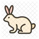 Conejito Animal Pascua Icon