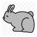 Conejo Animales Icon