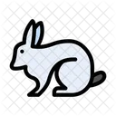 Conejo Conejito Animal Icon