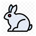 Conejo Conejito Pascua Icon