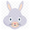 Animal Conejito Conejo Icon