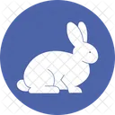 Conejo  Icono