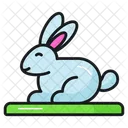 Conejo Mamifero Mascota Icon